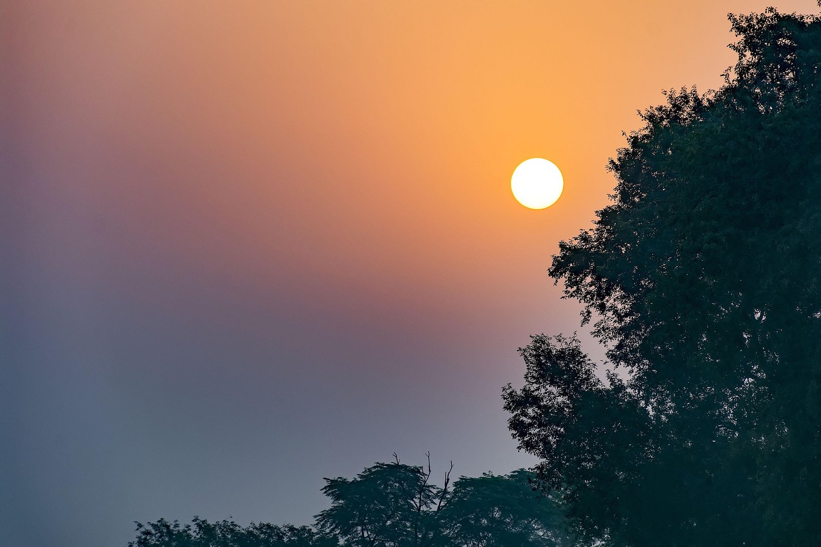 ১০০ খুন করা সেই পাপীর তওবা 